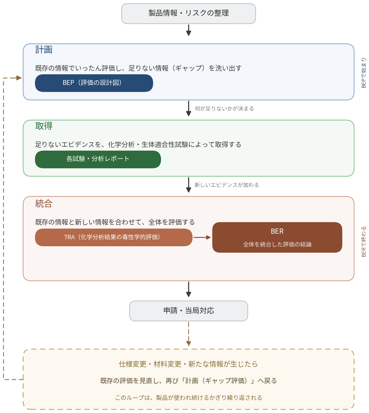 生物学的評価プロジェクトの流れ：製品情報・リスクの整理から始まり、計画（BEP）、取得（各試験・分析レポート）、統合（TRA・BER）を経て申請・当局対応へ至る。仕様変更や新情報が生じると、再び計画に戻る反復ループを描いた図。
